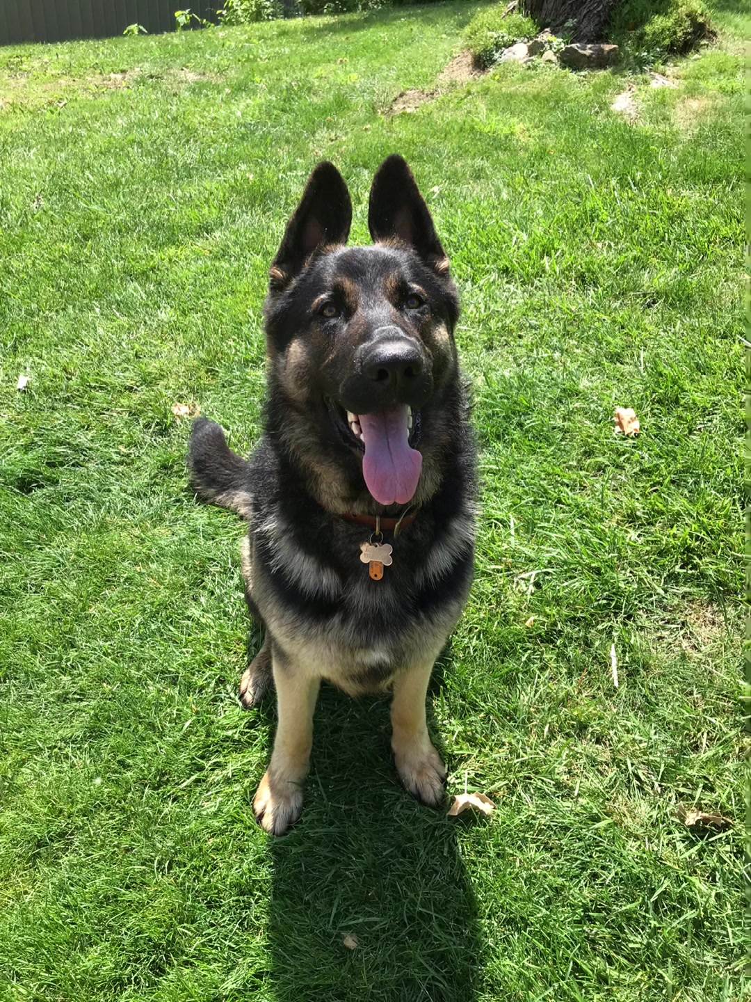 @MERCURY_GSD_24_7