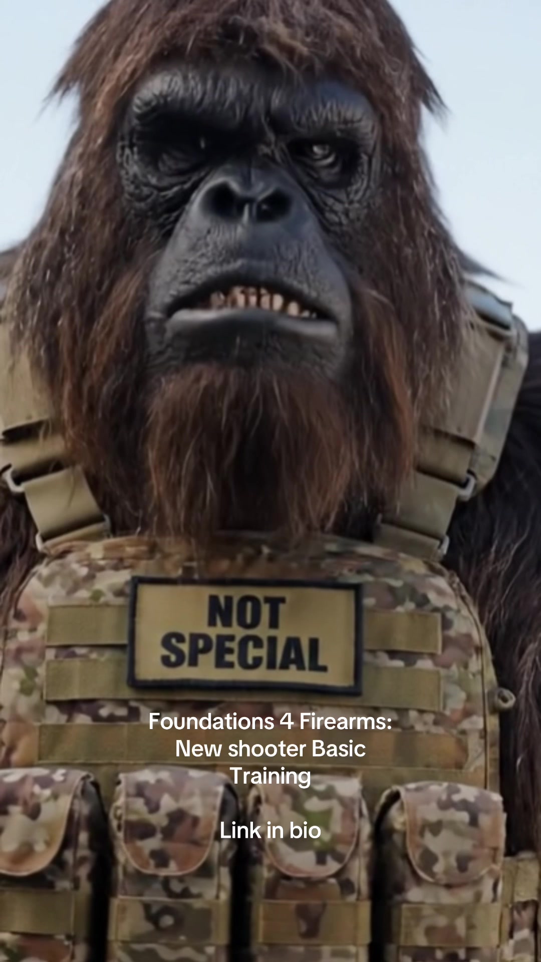 @WeaponTrainer