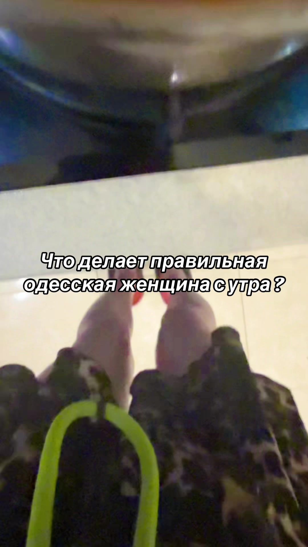 @Принцесса Молдаванки 🕊️