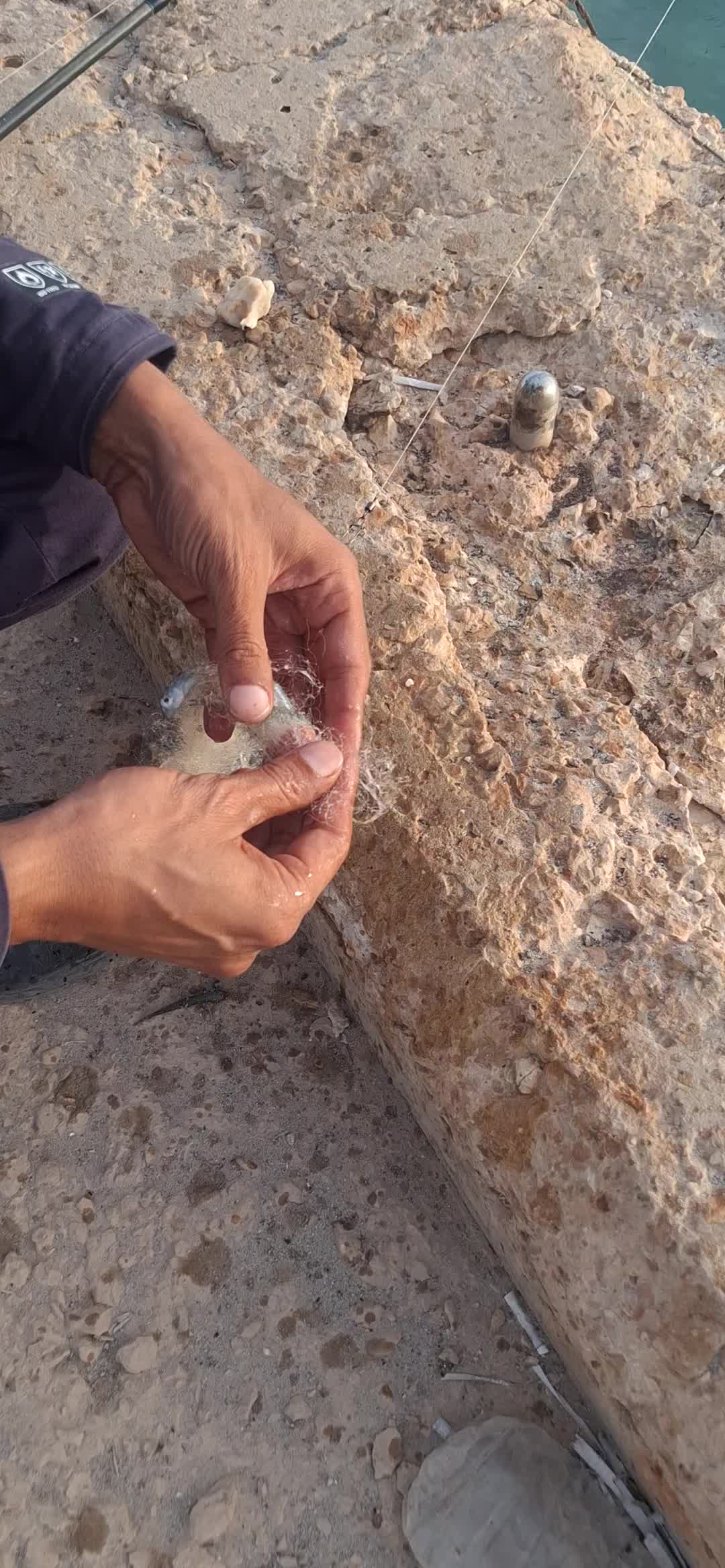 @(نبيل نوري) Nabeel Nuri