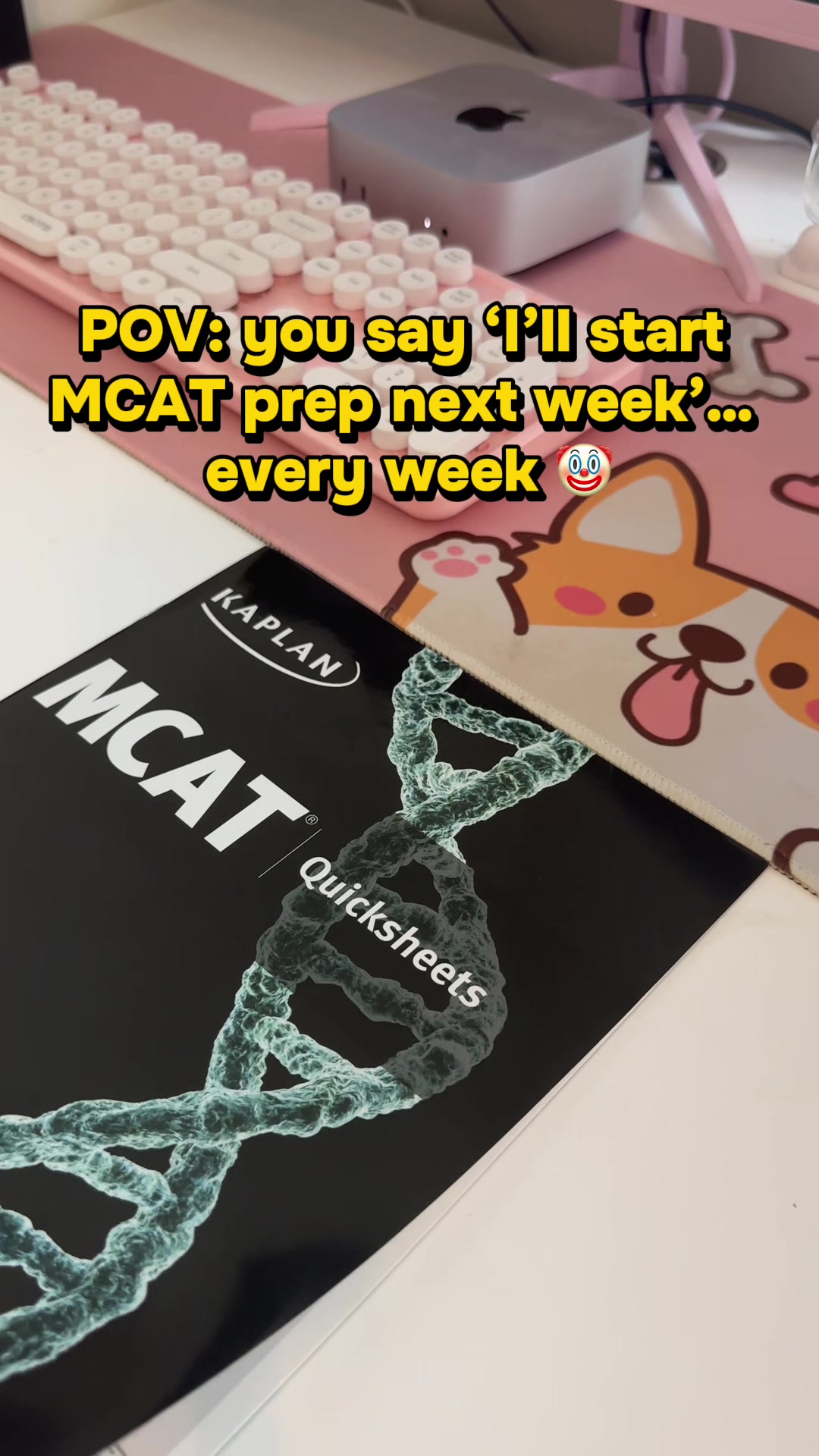 @MS4 Med Student (Premed Tips!)