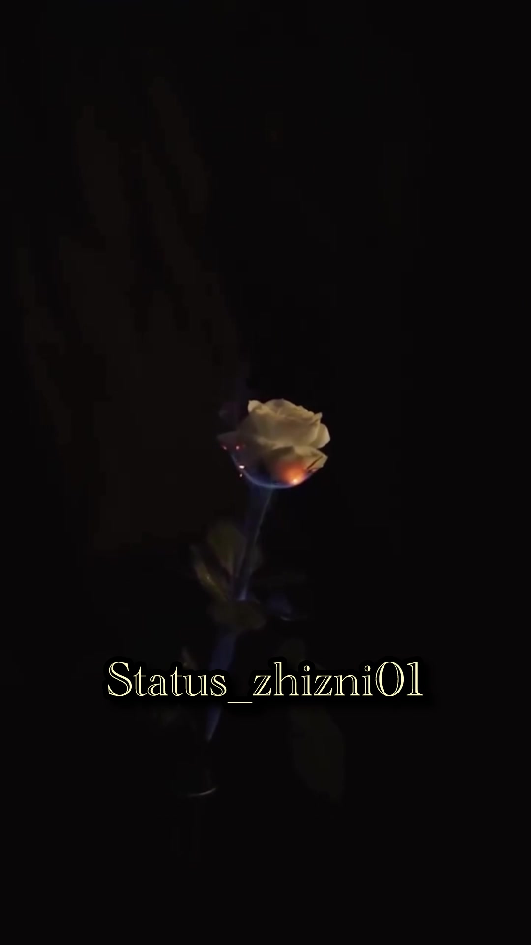 @status_zhizni01