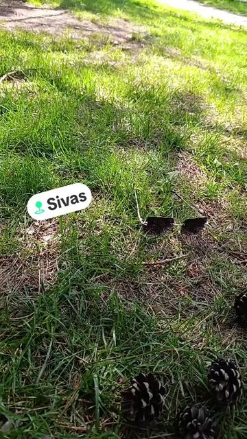 @🌸Ulaş _gelini_58🌸