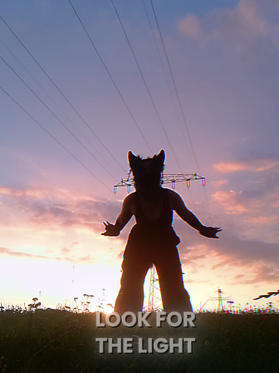 @&times;*Jasmin_Fox✨Wolf*&times;