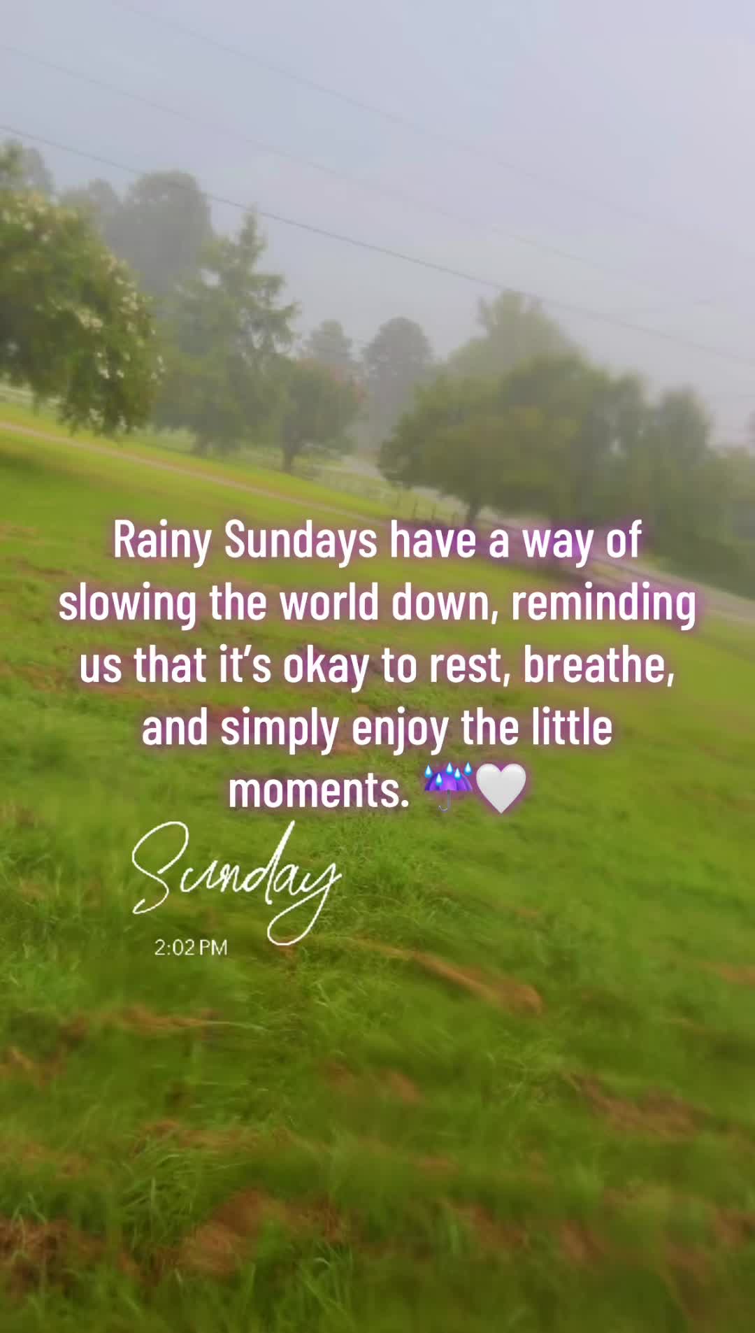 @Suesue