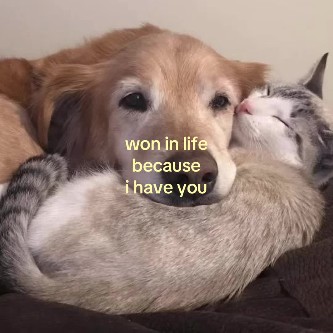 @motionsoflove