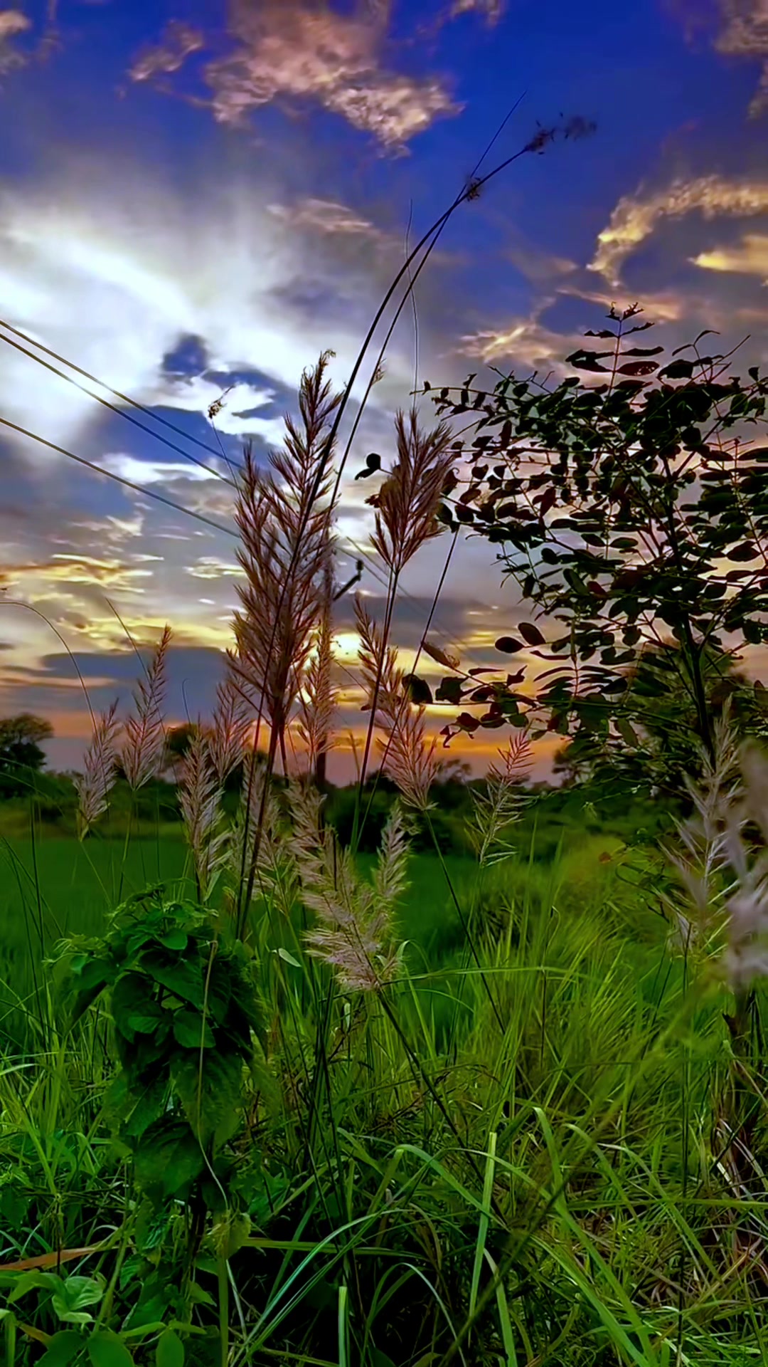@Huzur köşesi