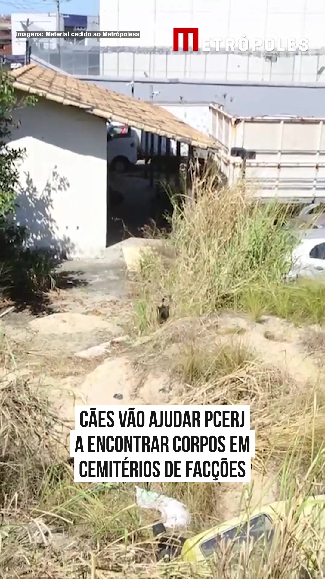 @Metrópoles Oficial