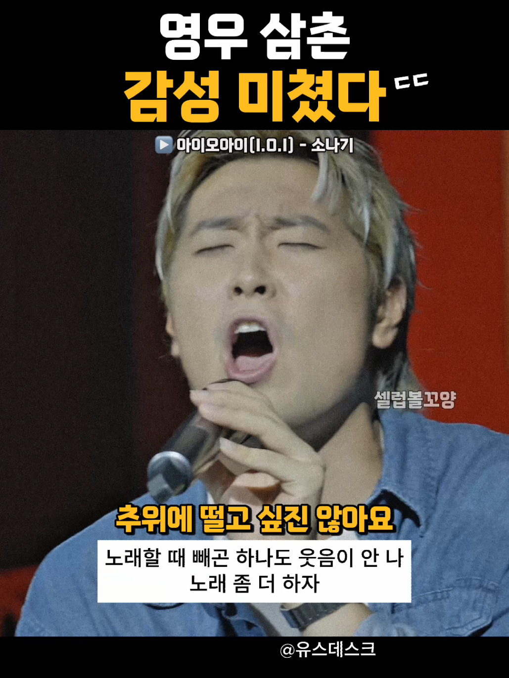 @셀럽볼꼬양