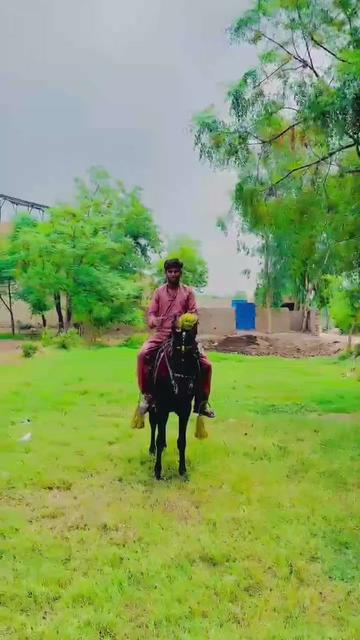 @👑🔥RANA MUBASHIR RAJPOOT 🔥👑