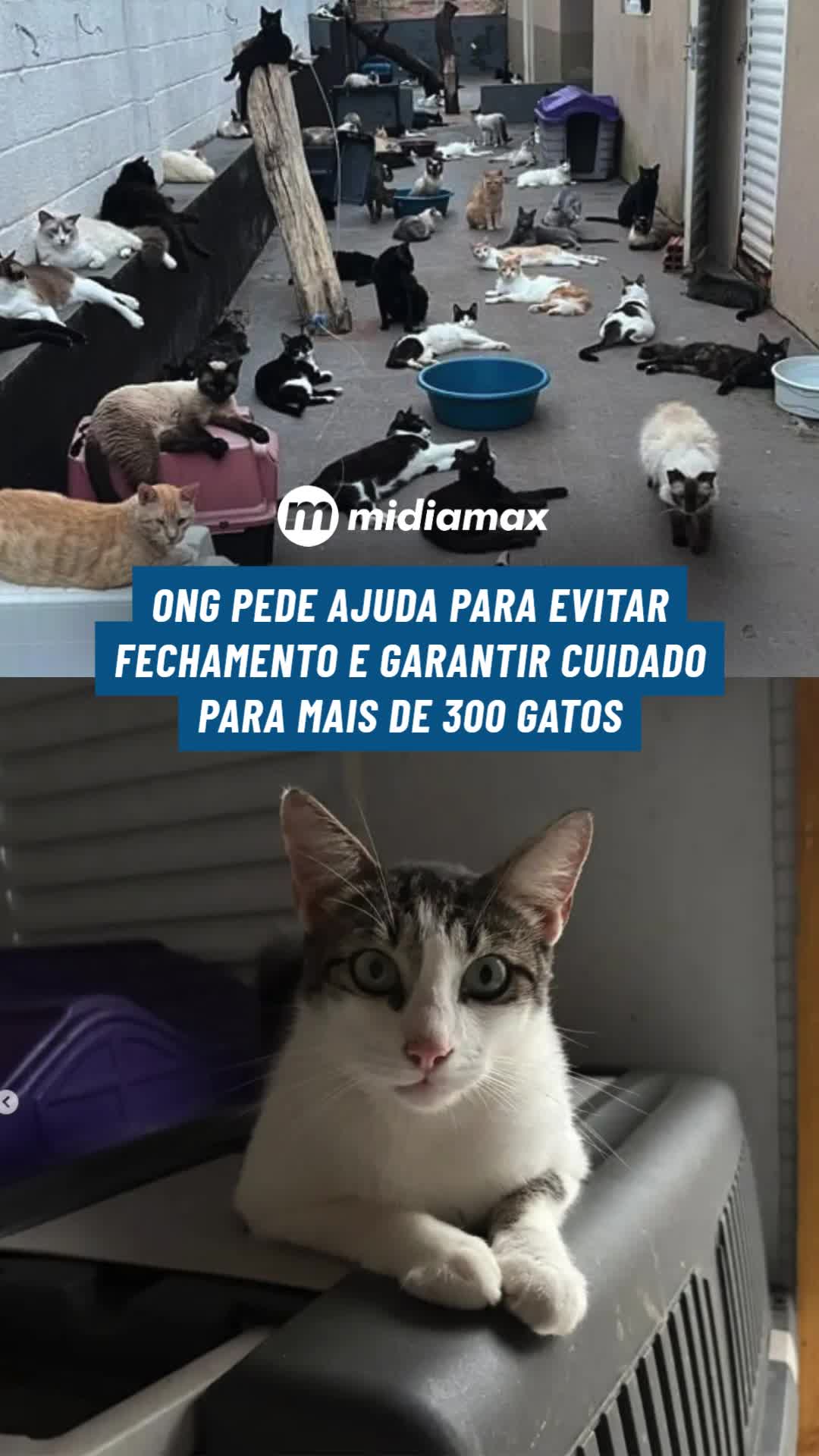 @Jornal Midiamax