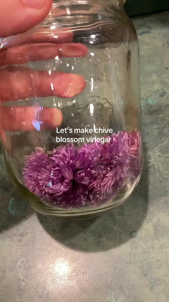 @SimplyLivingHomestead