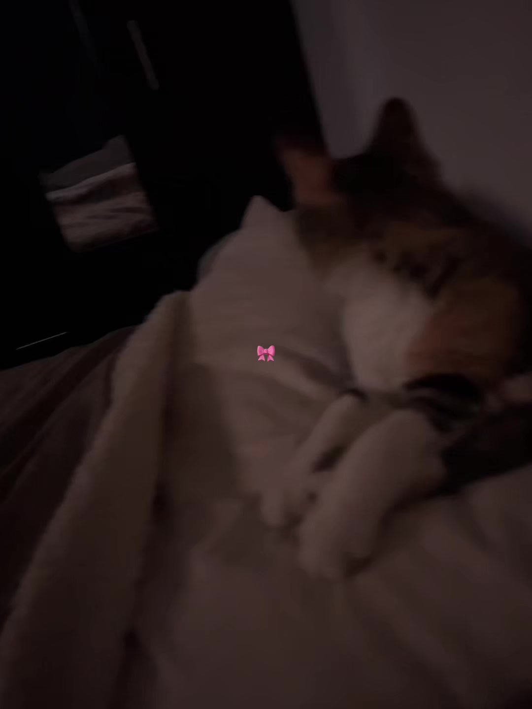 @dannaa ★彡