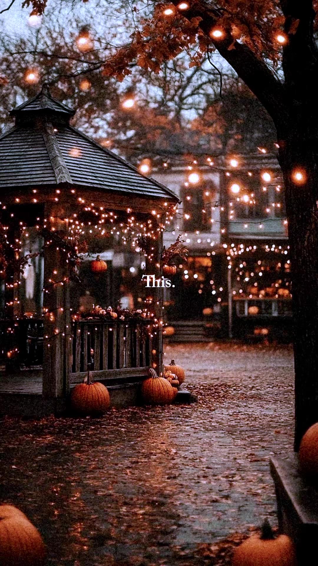 @🎃The Haunted Brush🎃