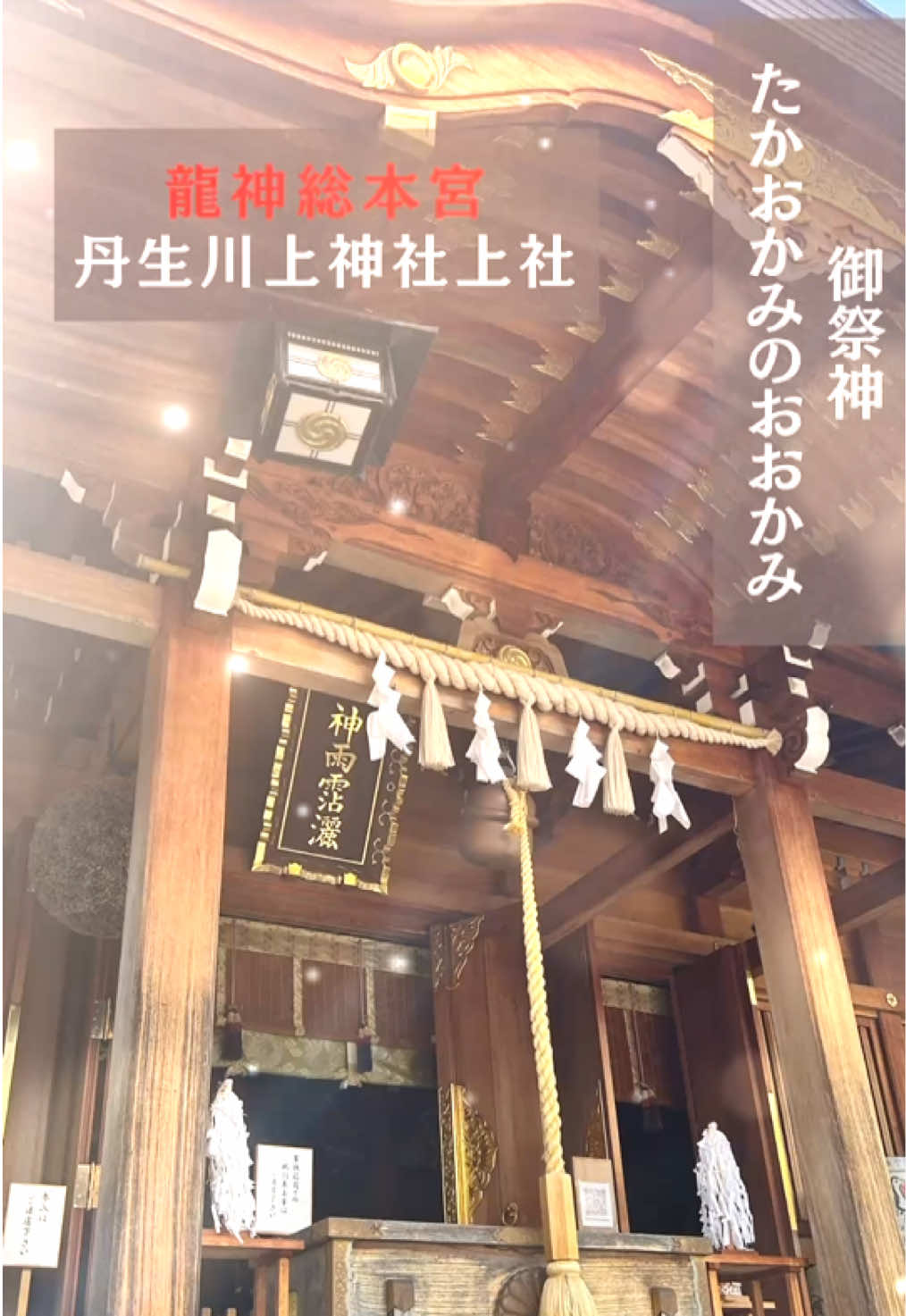 @hoshino_tarot