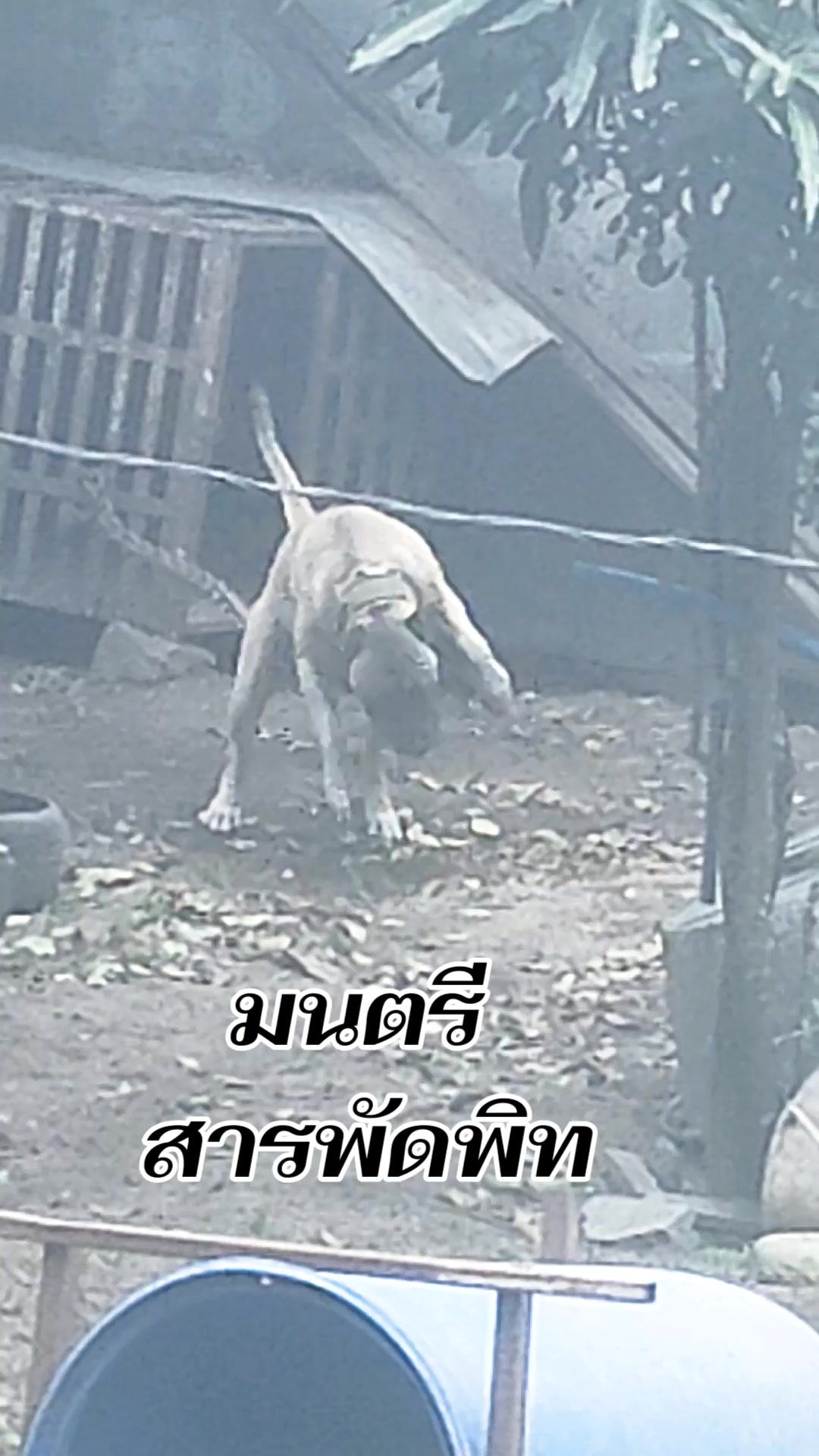 @ศึกษา เกตุนาค