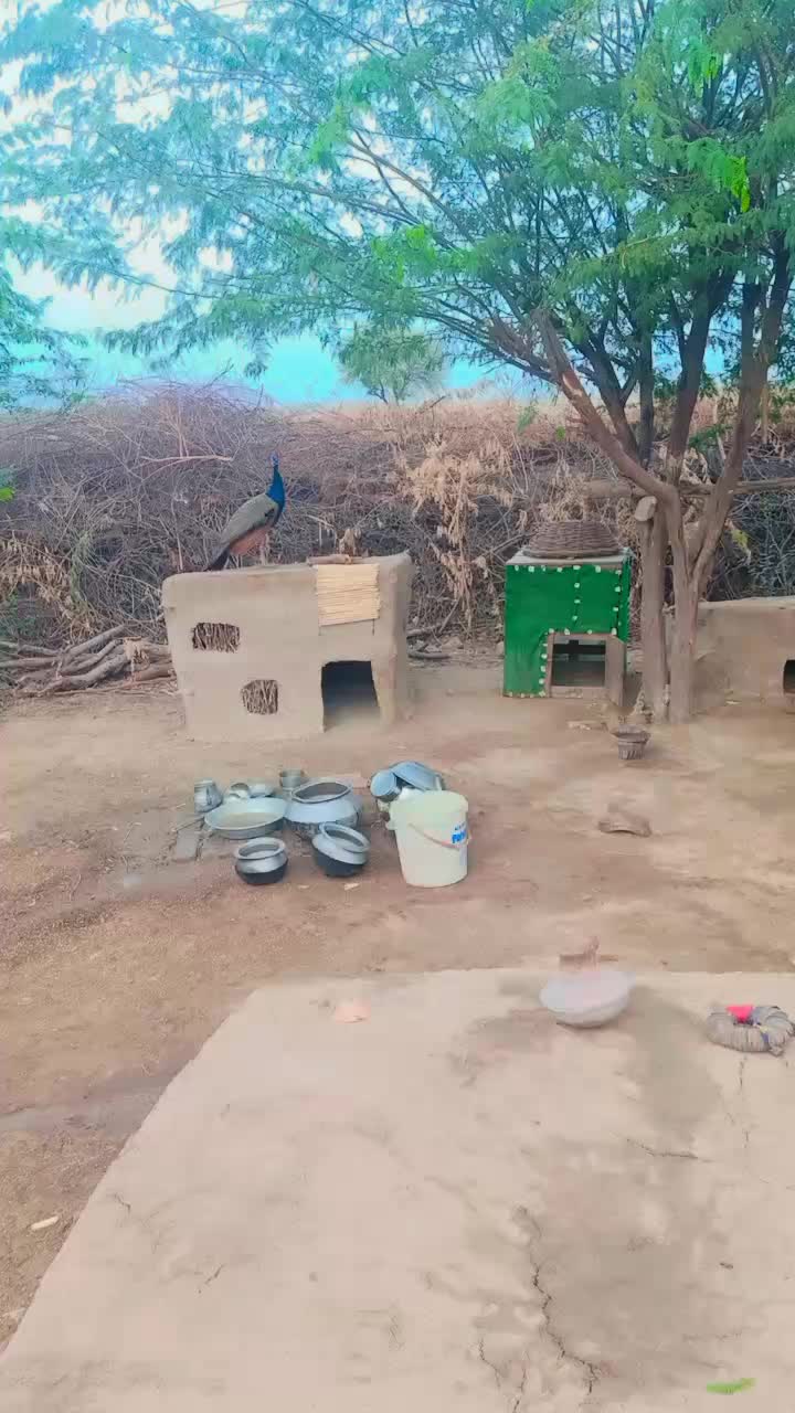 @aijaz solangi