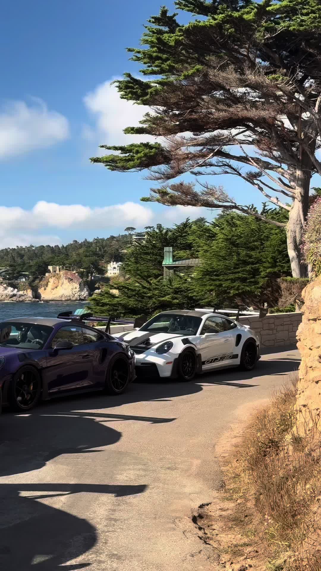 @lordpicklecars