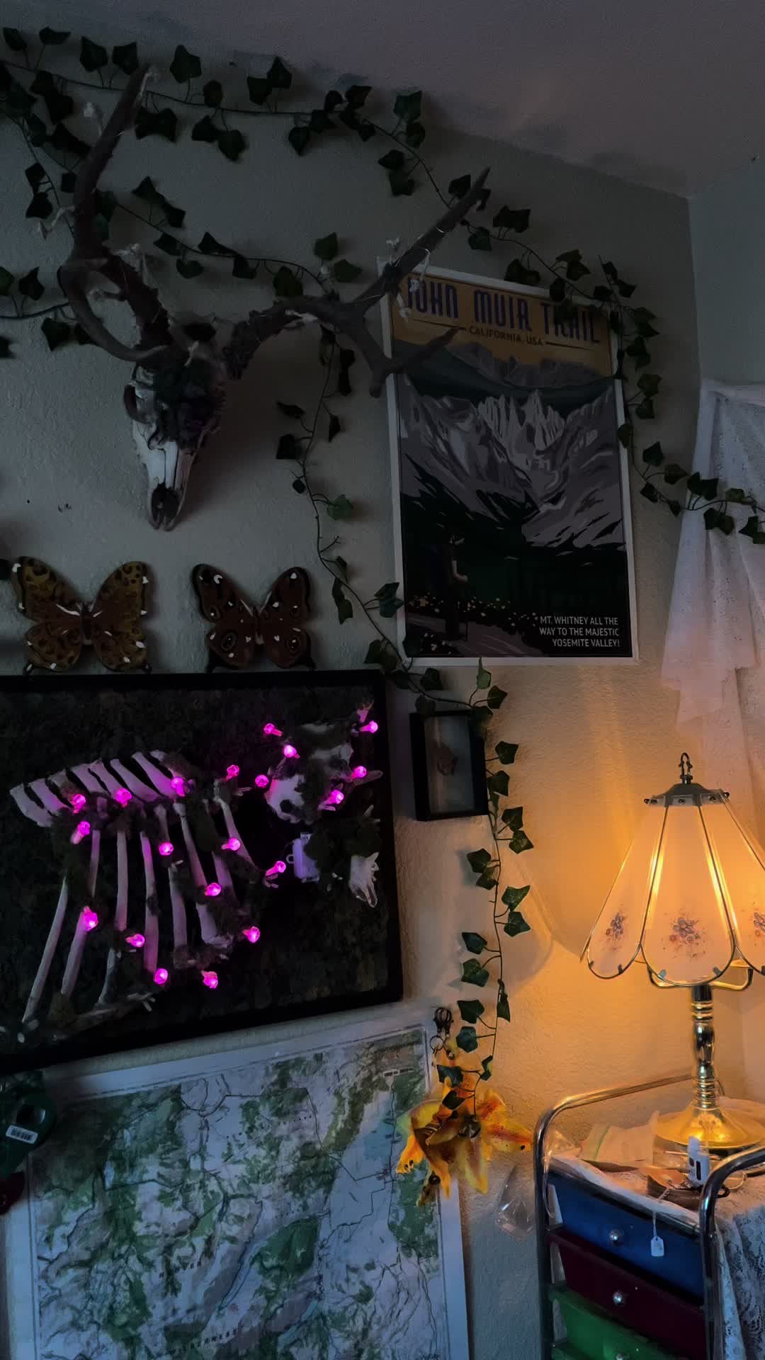 @🌲