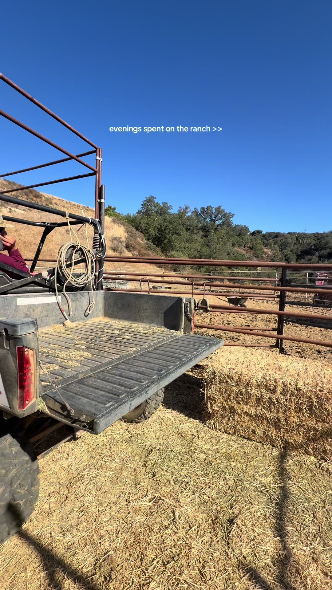 @hvrcattle