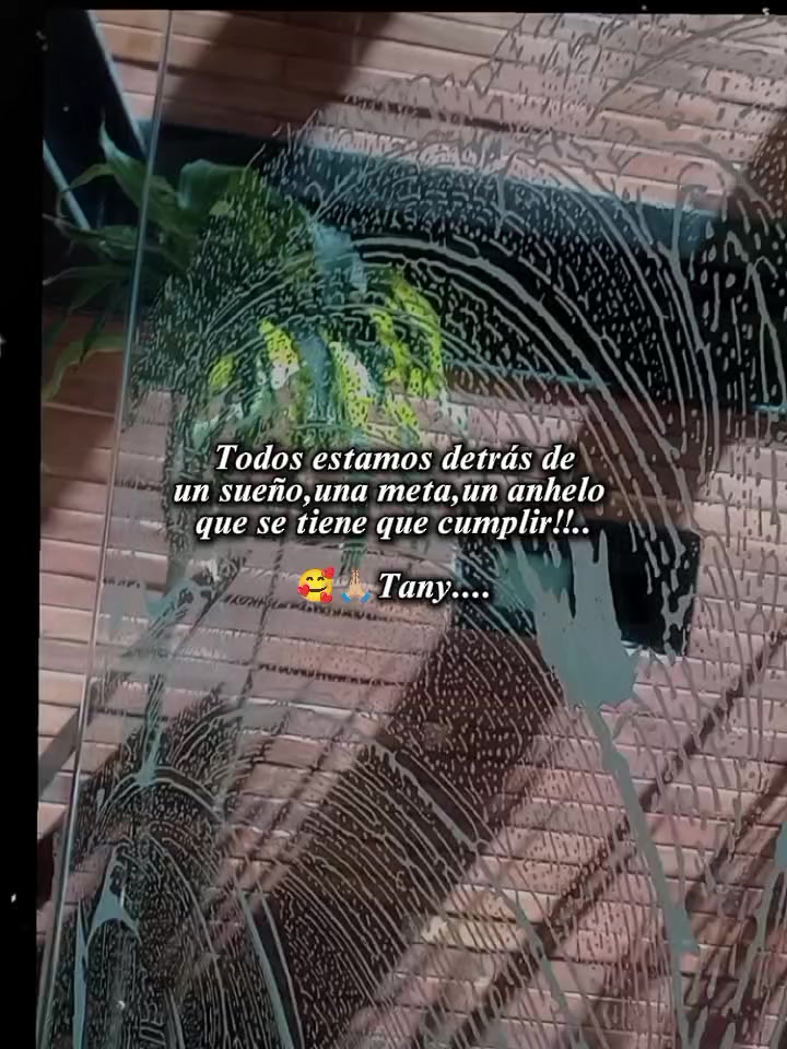 @Tany Lopez