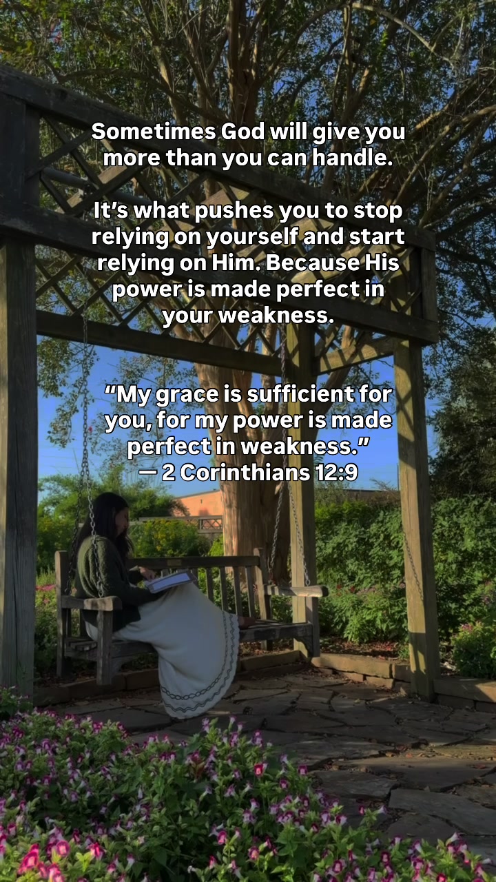 @The Daily Grace Co