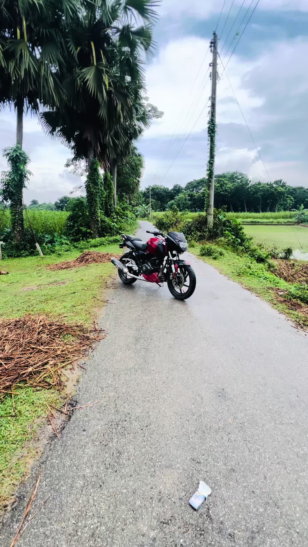 @Bunny Rider 20K❓