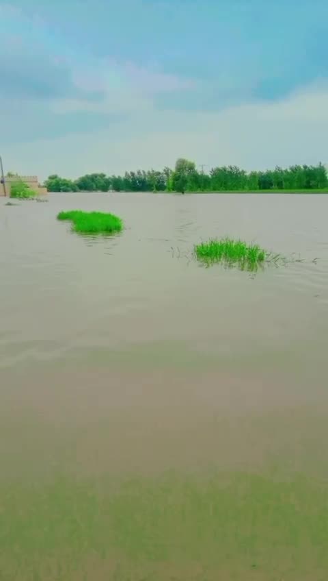 @Laadi🤔🤔🤔
