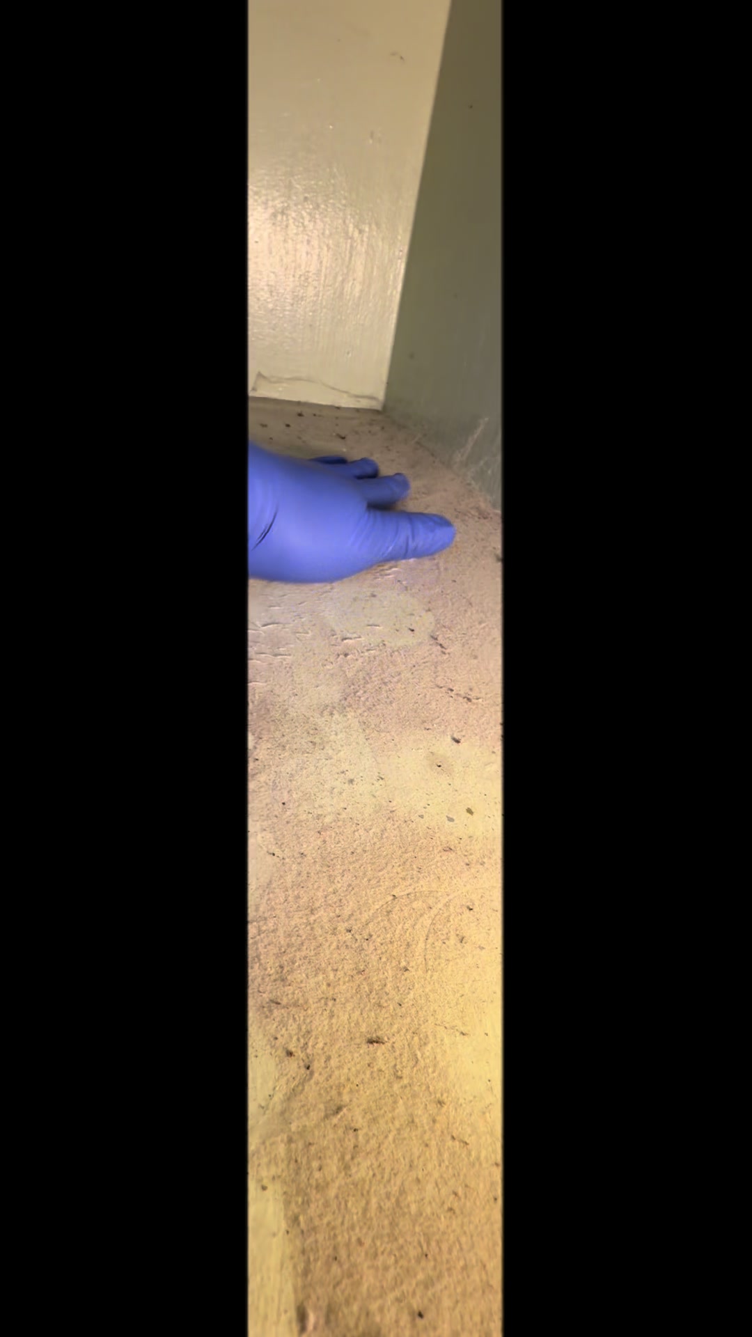 @Blissful Janitorial