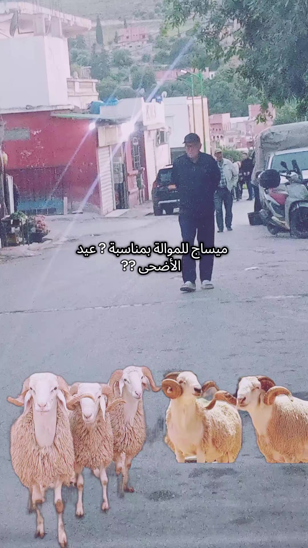 @العميد