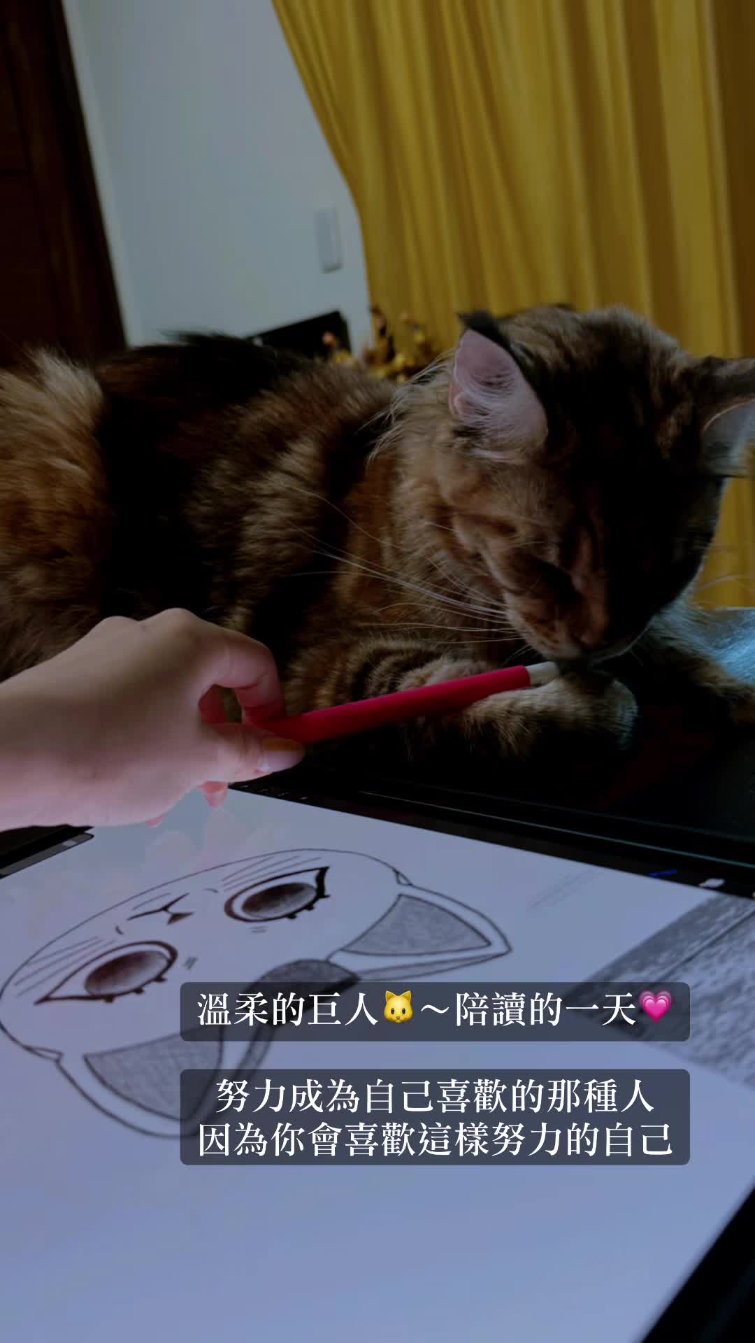 @閃閃女王