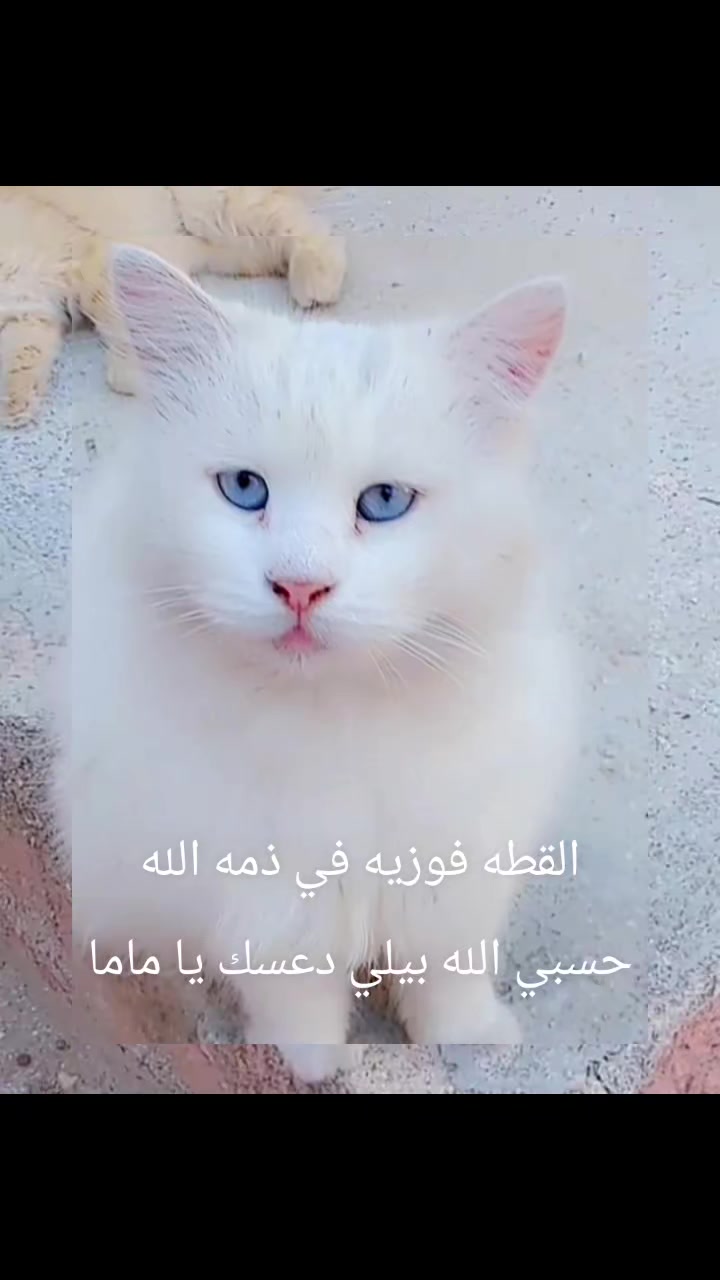 @رنا الروح