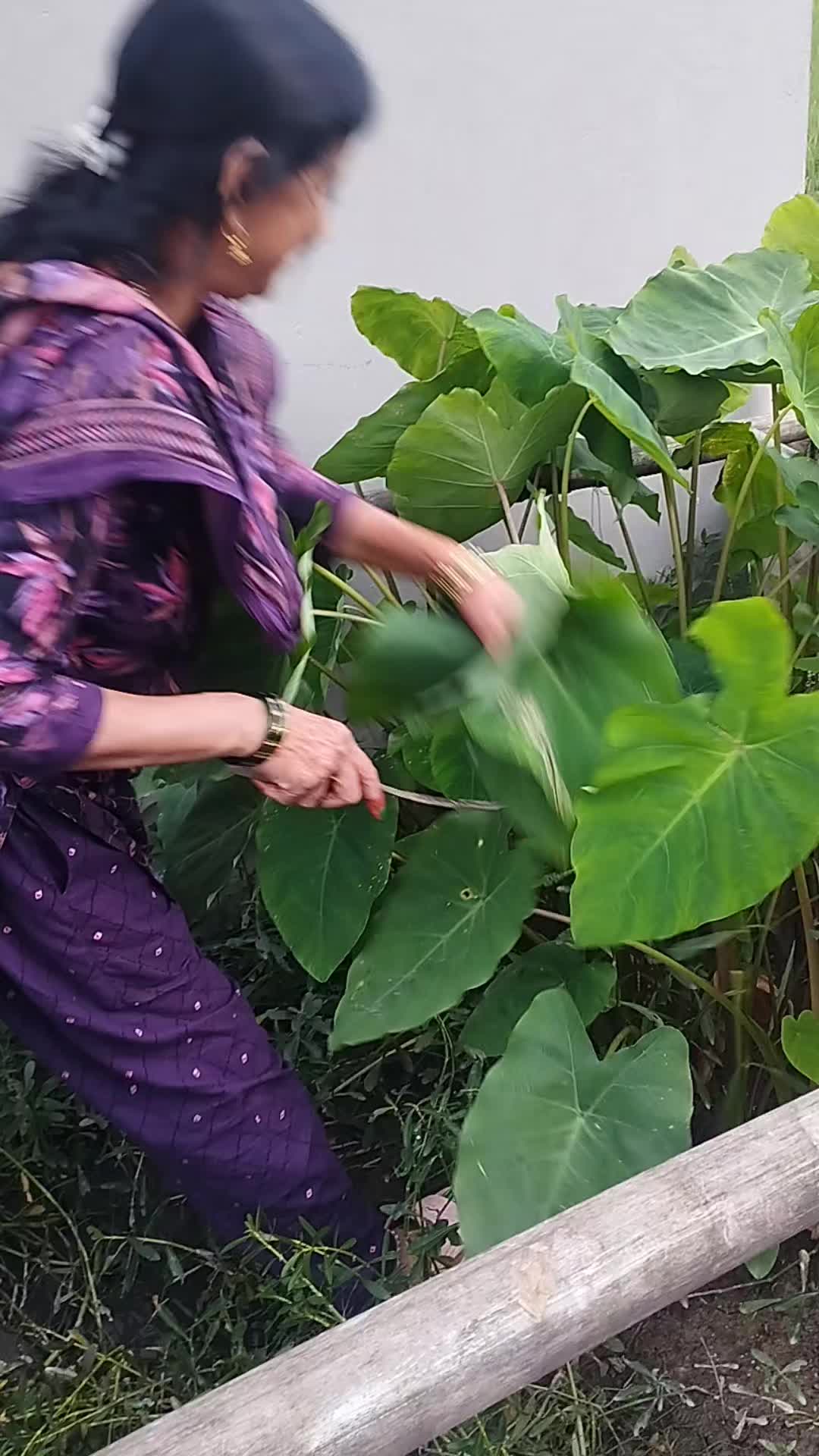 @Nirmalamishra