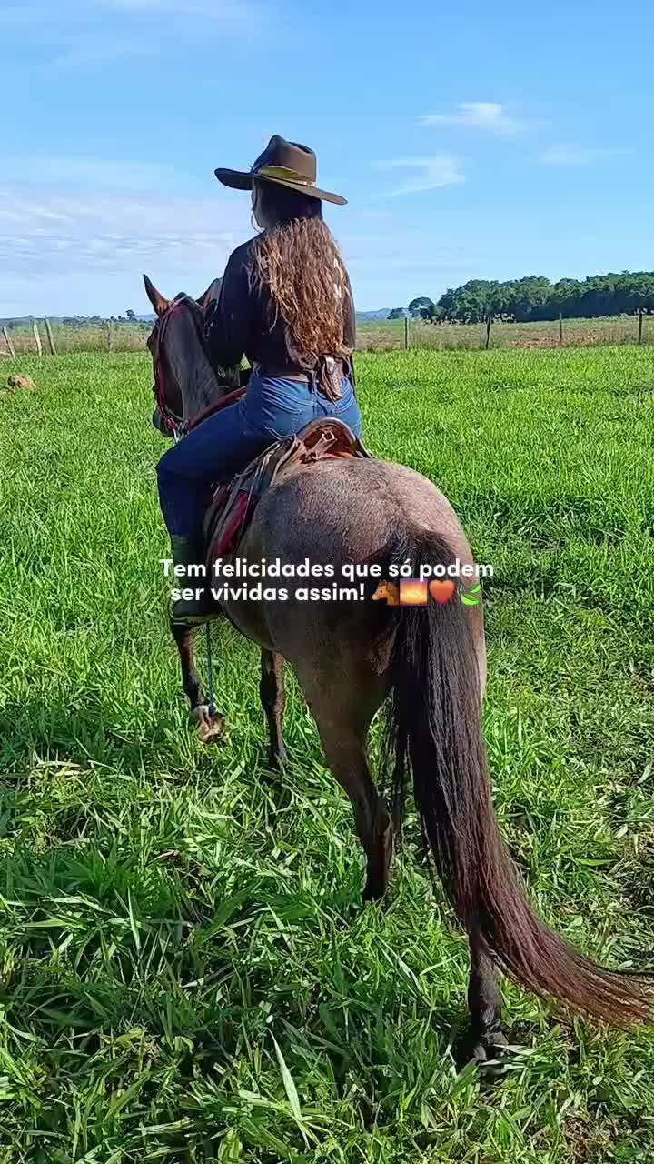 @joyce pereira