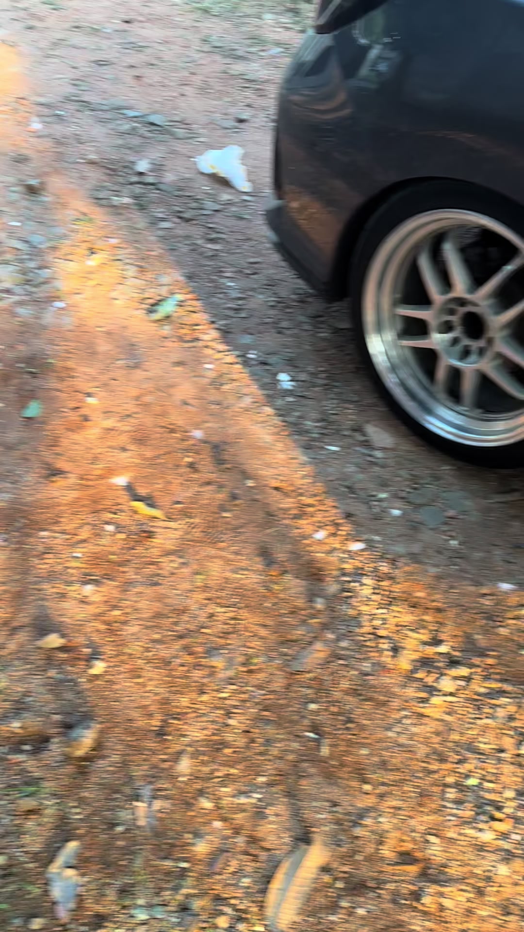 @gcarsale._