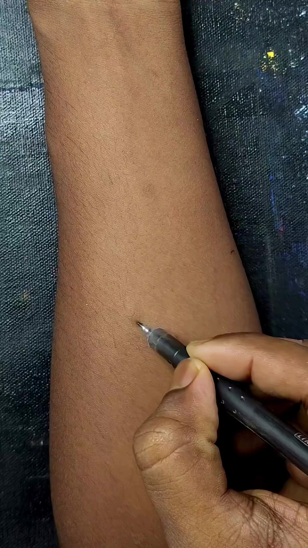 @🖌SKETCH🖌