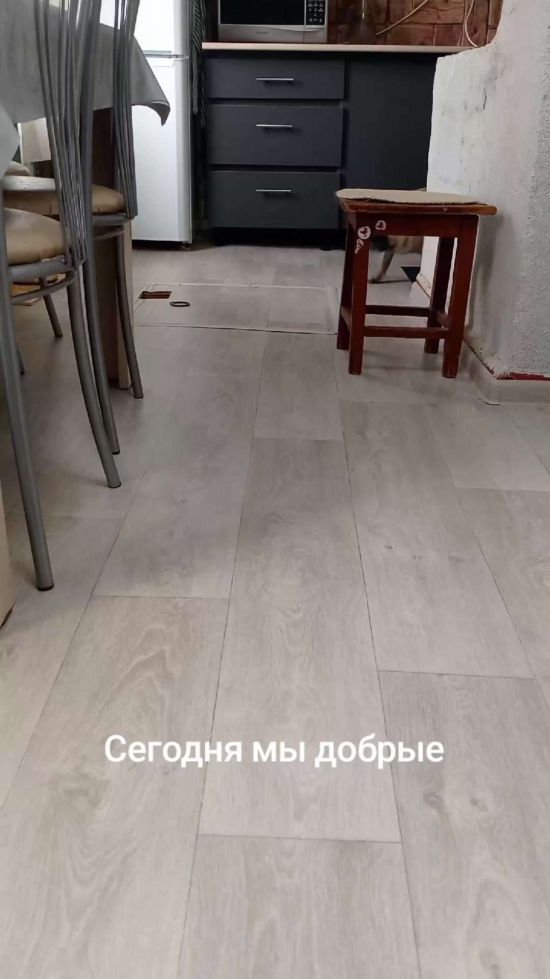 @tg: SamMops76