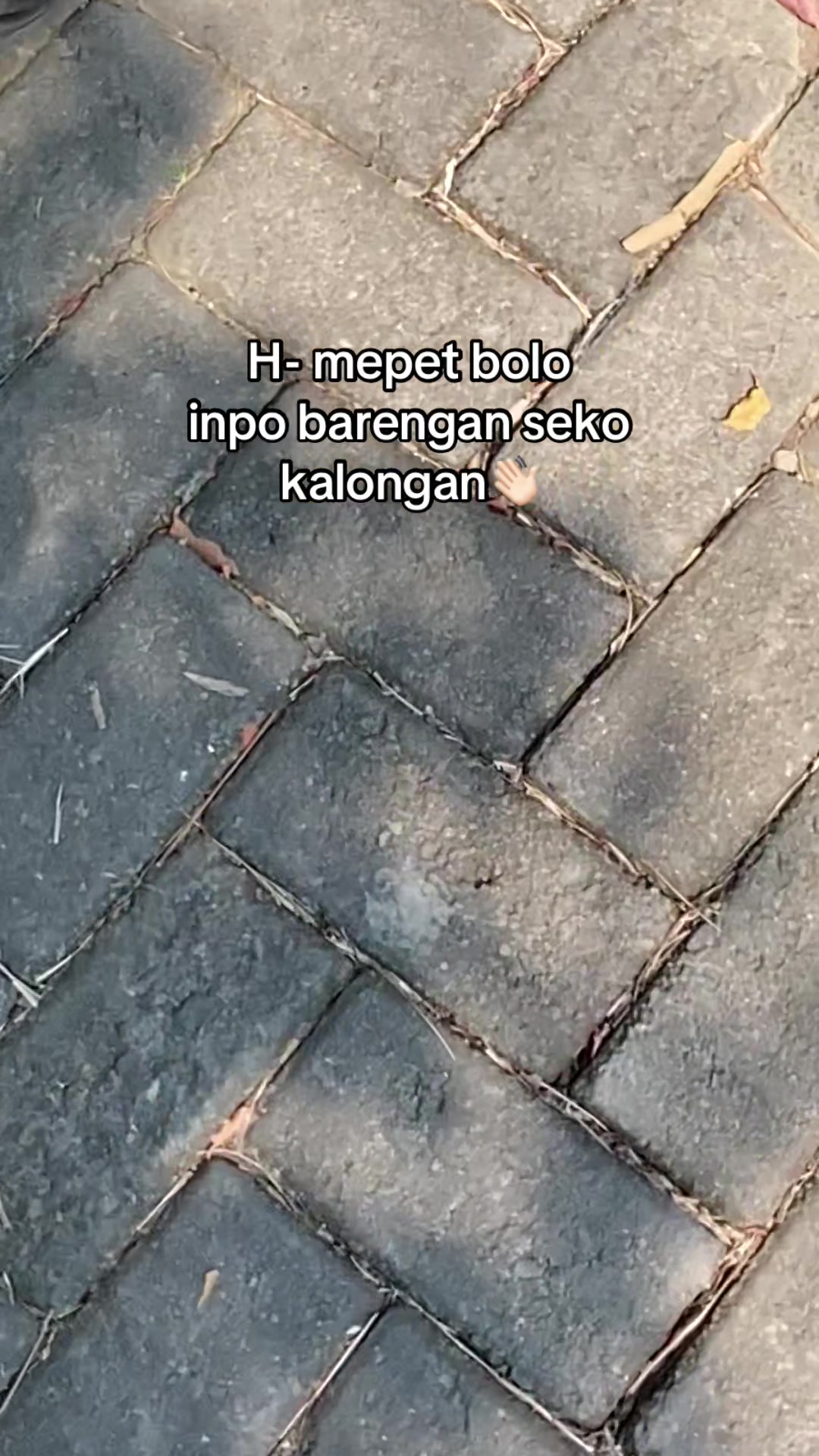 @mannn