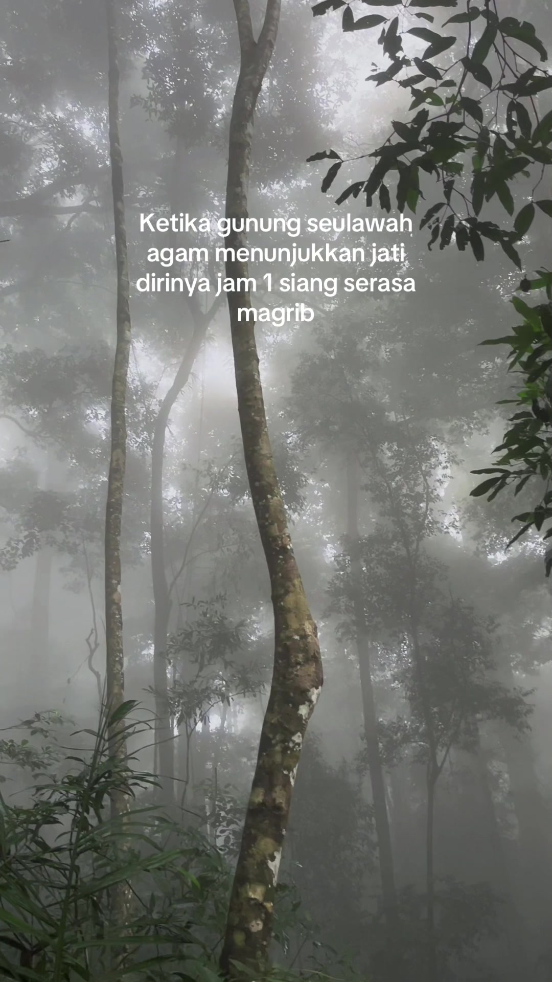 @nazar