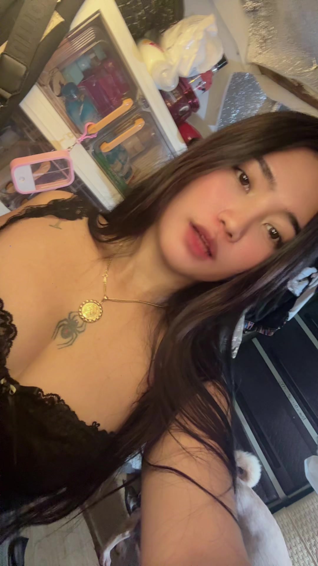 @sck.lexi