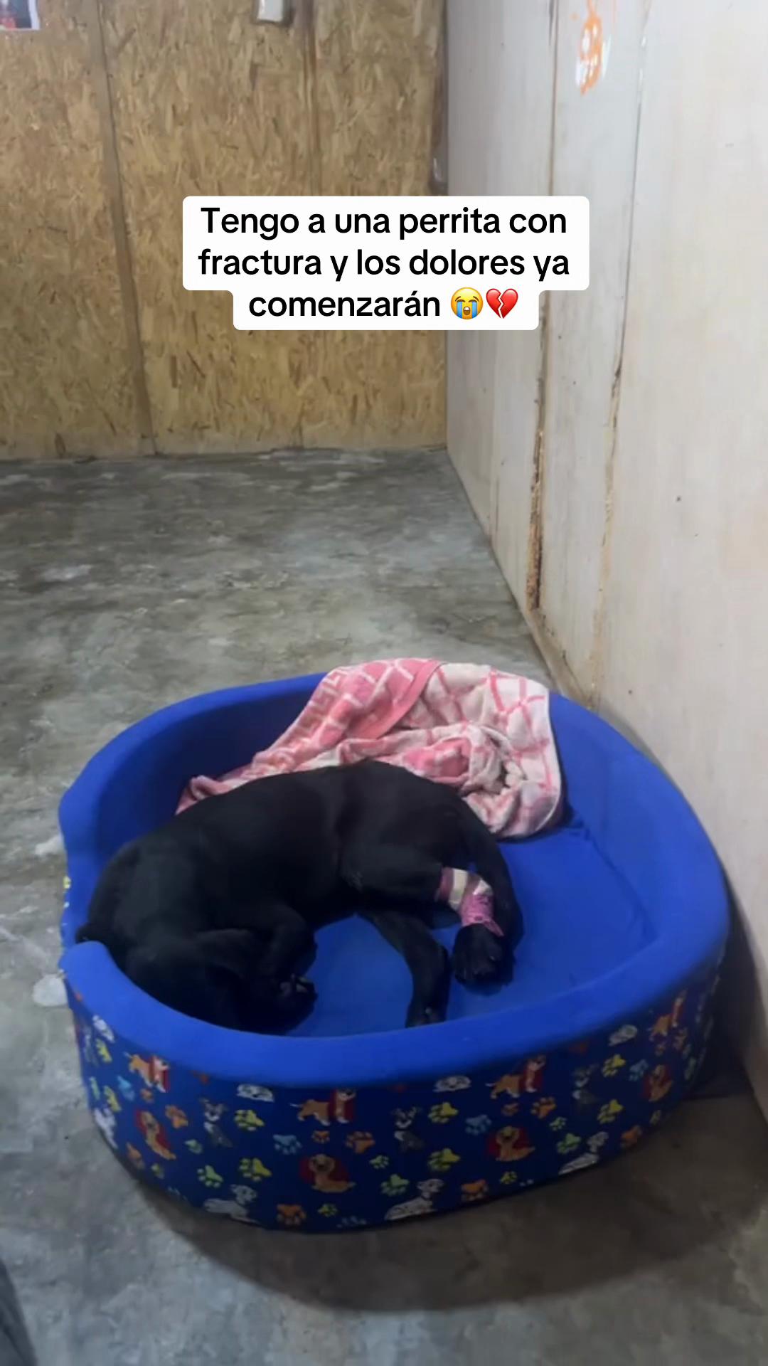 @GERSON EL&Iacute;AS