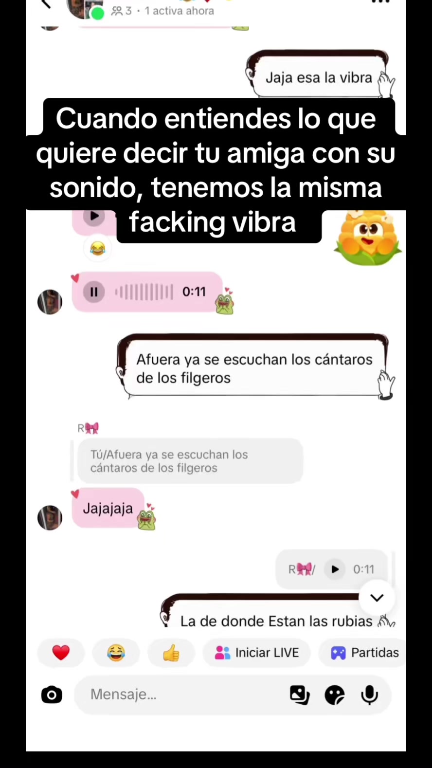@minimi.fitnescdc