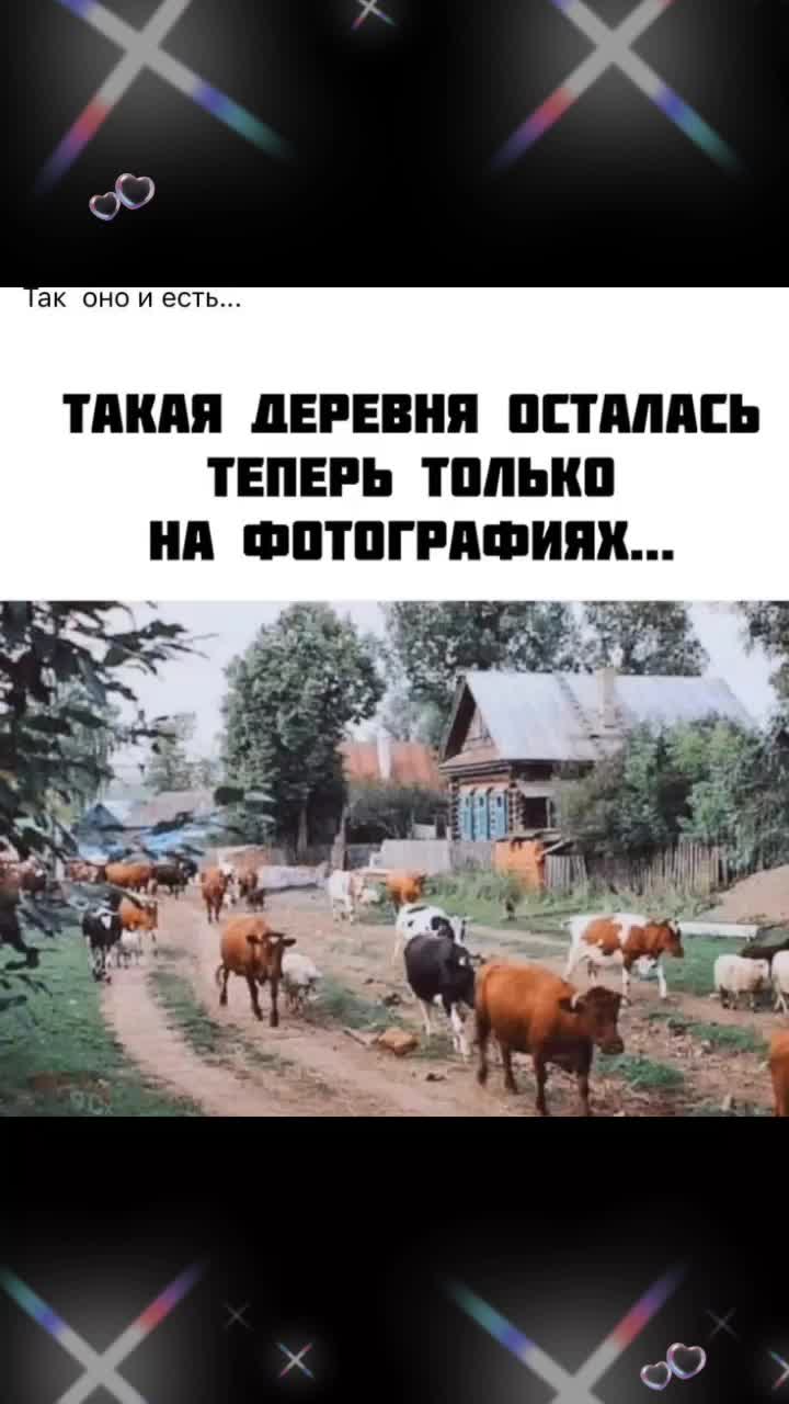 @Елена