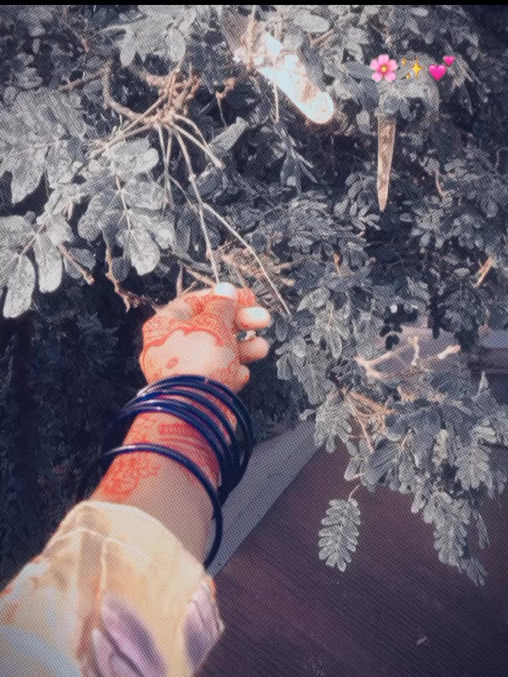 @&weierp;𝑴𝒐𝒐𝒏𝒍𝒊𝒕_𝑸𝒖𝒆𝒆𝒏&weierp;๓