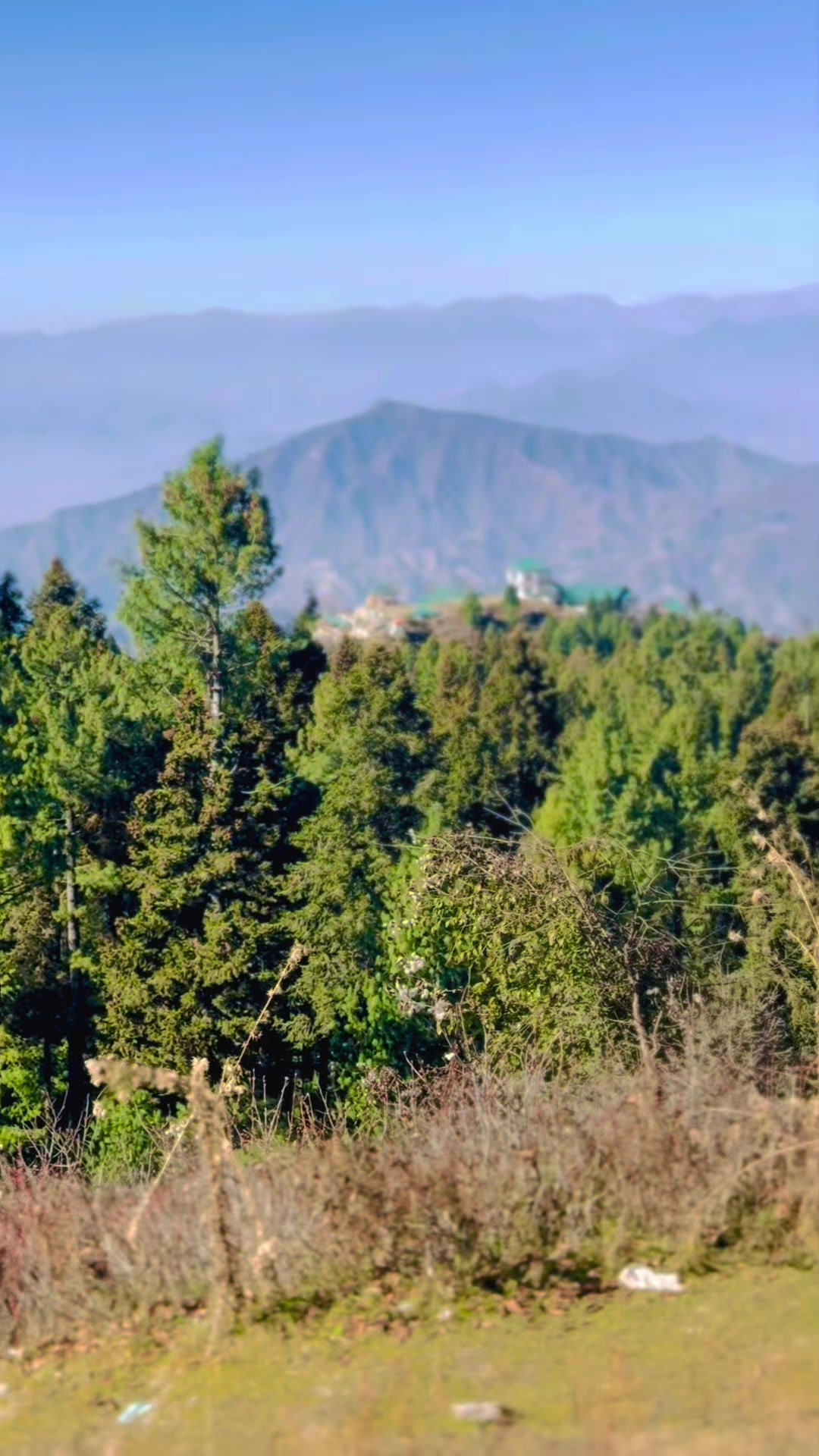 @چوہدری♠️
