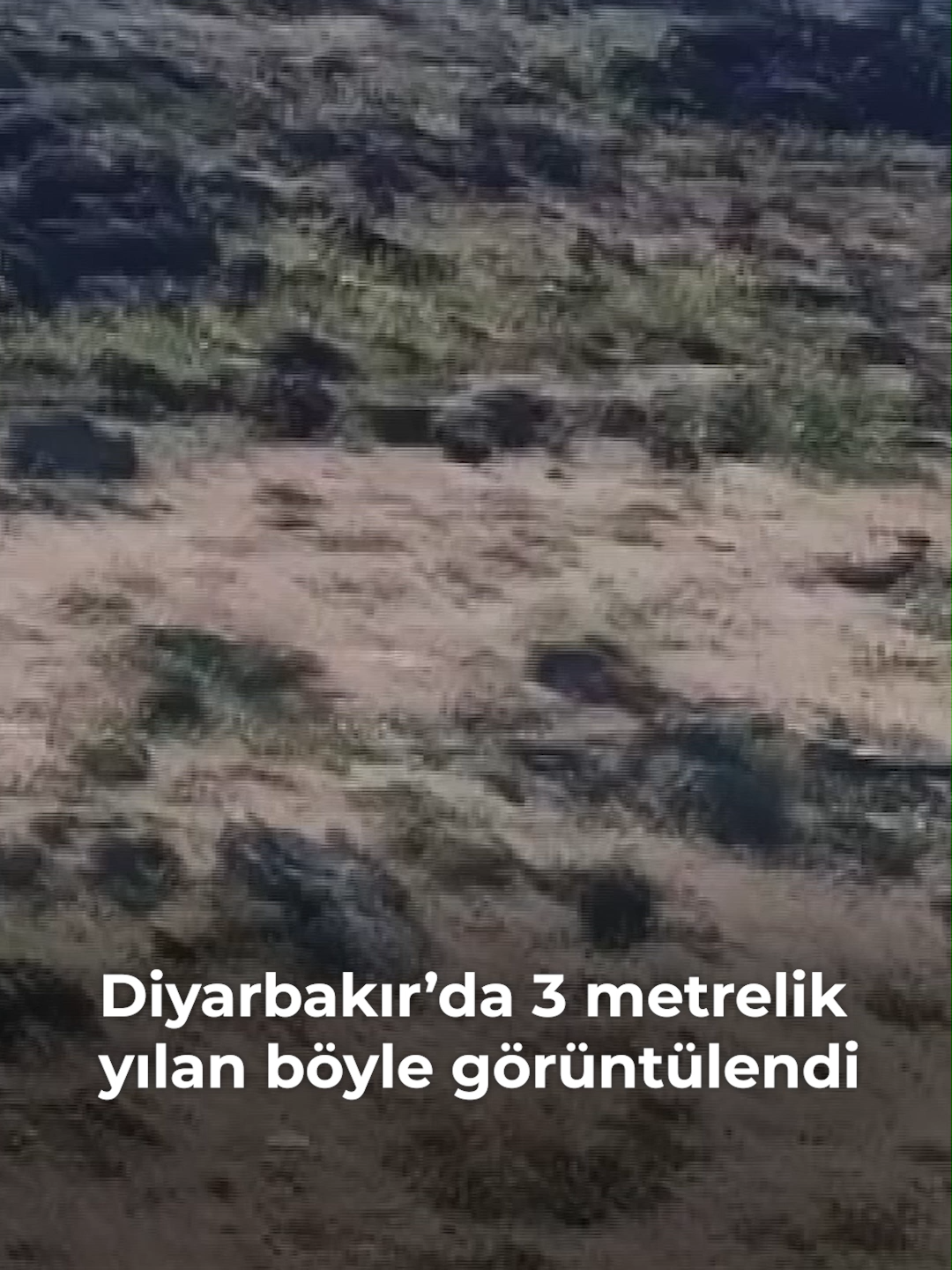 @Posta.com.tr