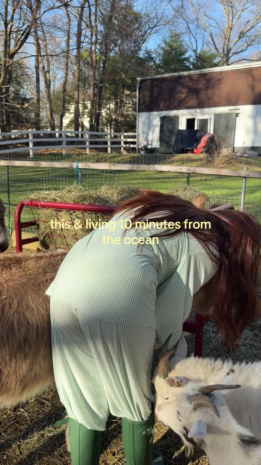 @jessie