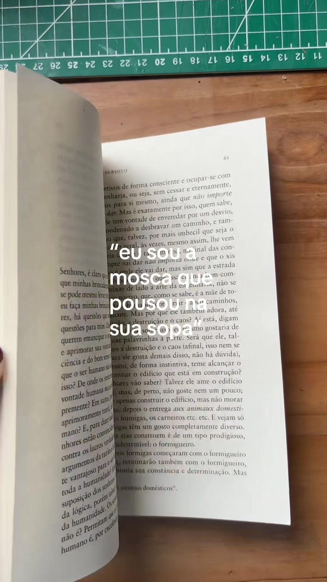 @jujubirubus