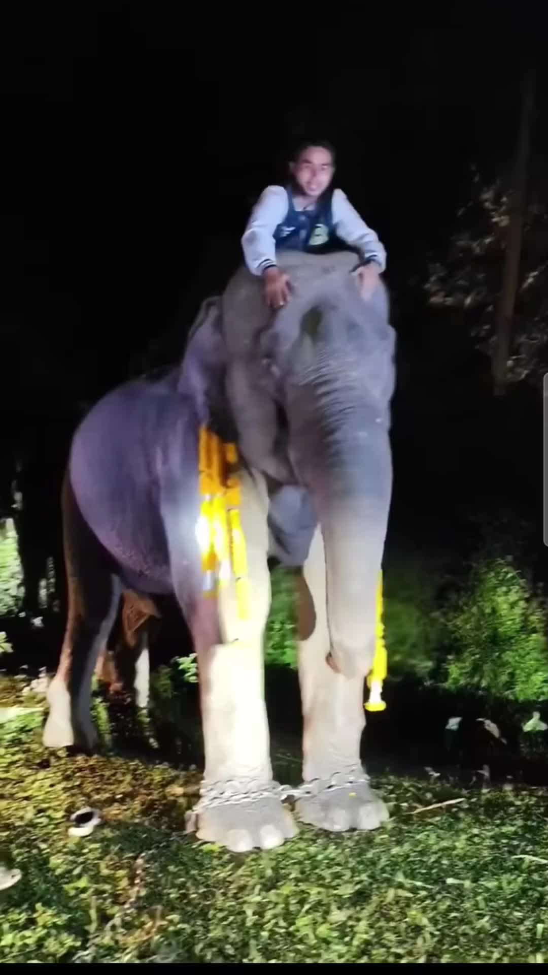 @赵露思zhaolusiจ้าวลู่ซือ