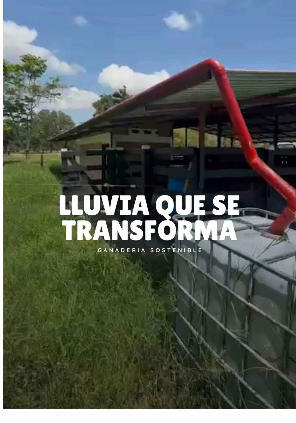 @Rehagronegocios
